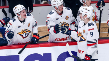 ХК Металлург