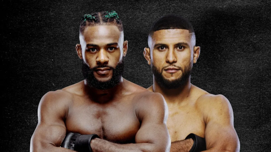 UFC Fight Night: Результаты и видео боев - доминация Стерлинга и вечер ветеранов