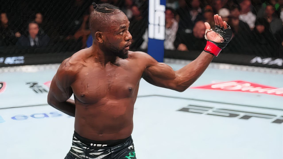 Капе нокаутировал Хоригучи и приблизился к титульному бою в UFC (Видео)