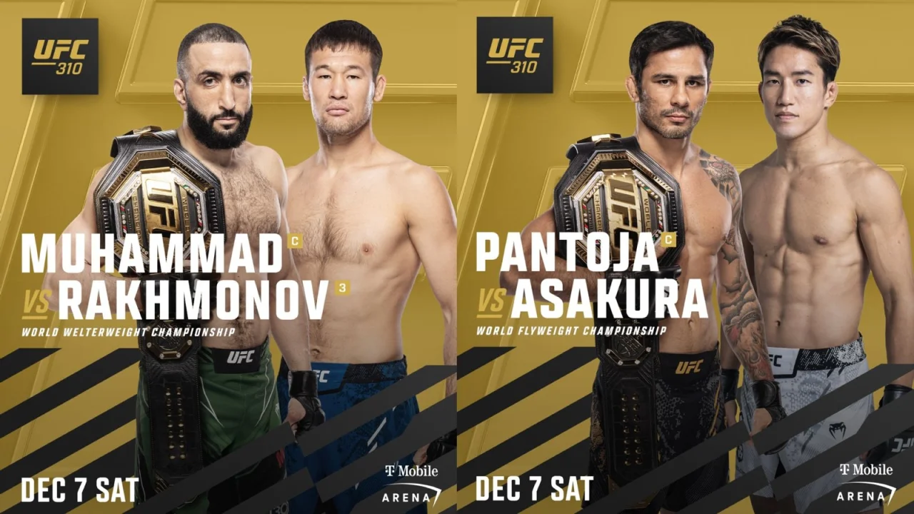 Шавкат Рахмонов - Белал Мухаммад. Какие поединки будут на UFC 310?