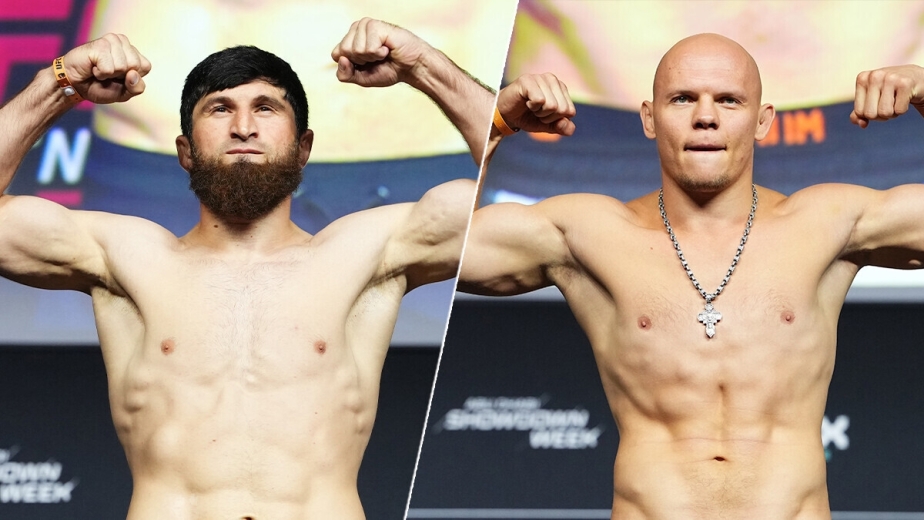 UFC Абу-Даби: Анкалаев vs Гуськов