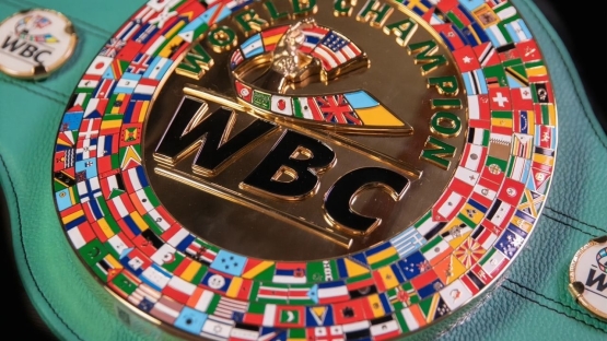 В WBC гарантировали титульник победителю боя Нурсултанов - Рамос