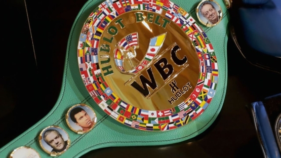 WBC официально анонсировал титульный бой казахстанца после трехлетнего простоя