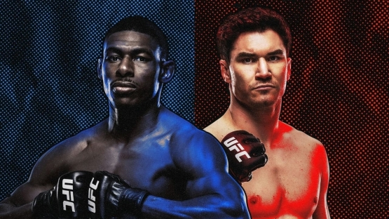 UFC Эдмонтон: Хоакин Бакли - Майк Мэлотт. LIVE-результаты и прямая трансляция 