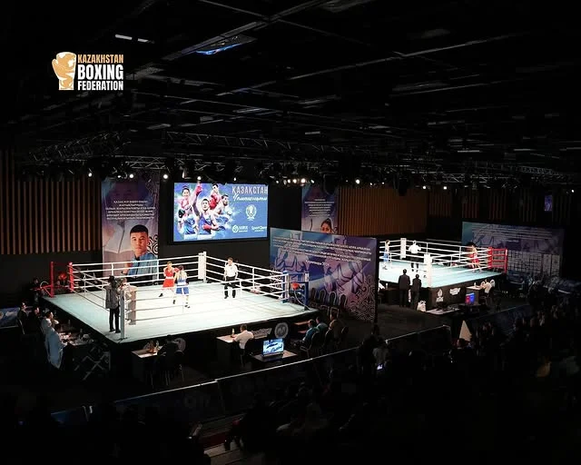 Чемпион мира получил пост в Федерации бокса Казахстана