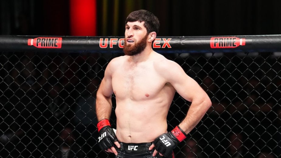 Ислам Махачев: "UFC недовольны Анкалаевым"