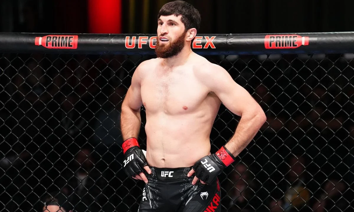 Ислам Махачев: "UFC недовольны Анкалаевым"