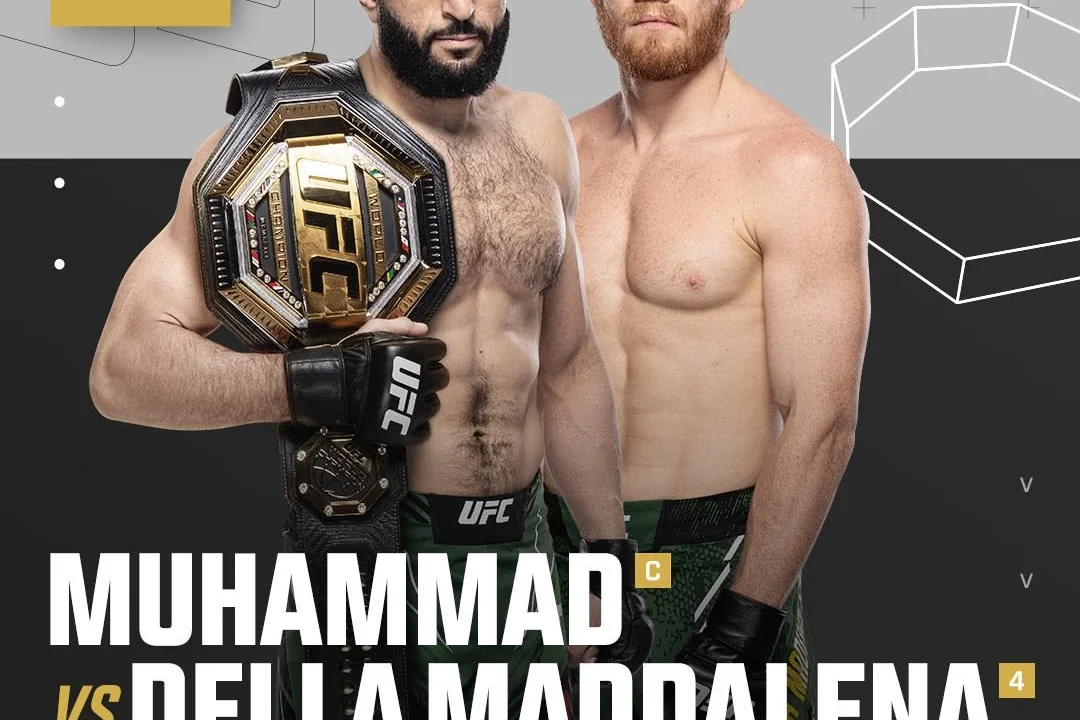 Минус Шавкат... UFC бомбанули анонсами на будущие турниры