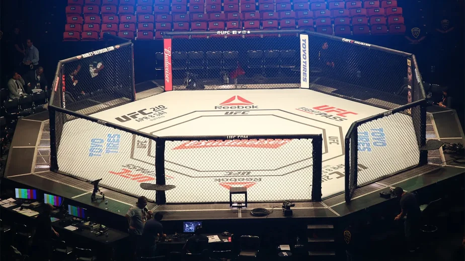 UFC рассматривает турниры вне США — в Европе, Азии и Африке