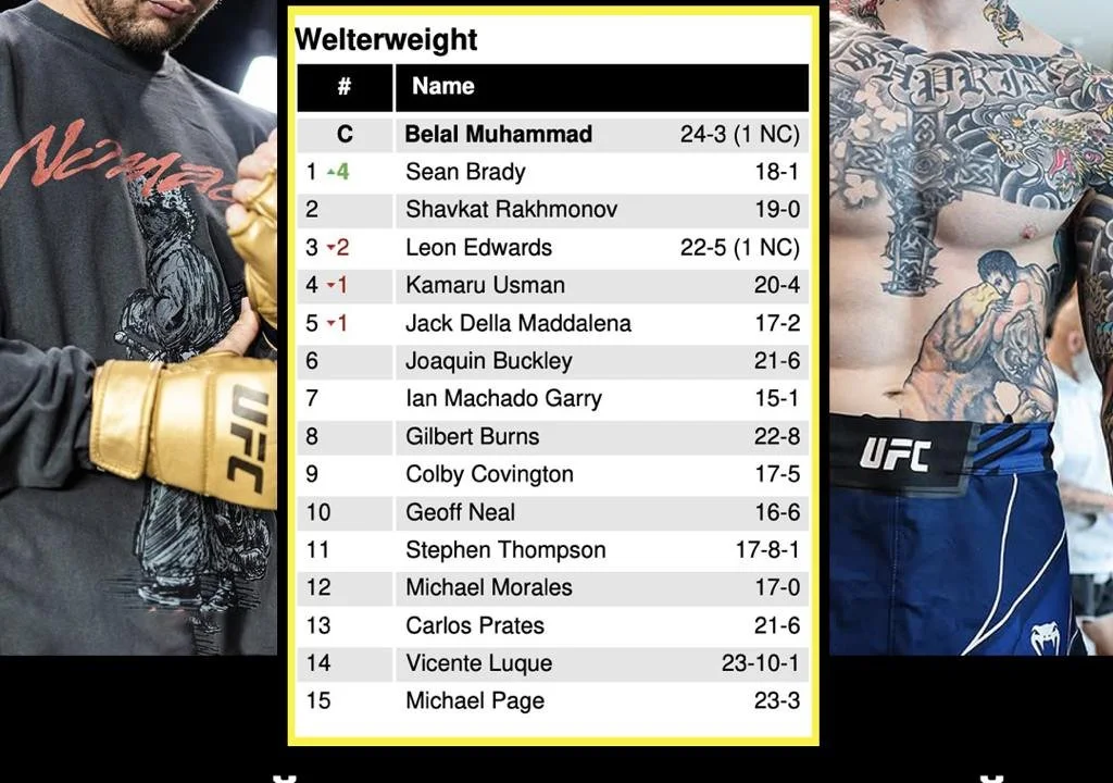 В дивизионе Шавката появился новый первый претендент на титул UFC