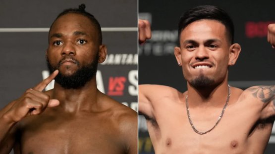 Манель Капе проведет бой с Брэндоном Ройвалом на UFC 317