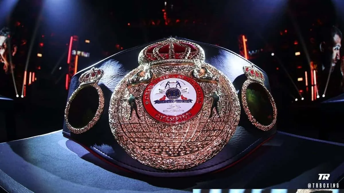 Два казахстанских боксера вошли в число претендентов на чемпионский пояс