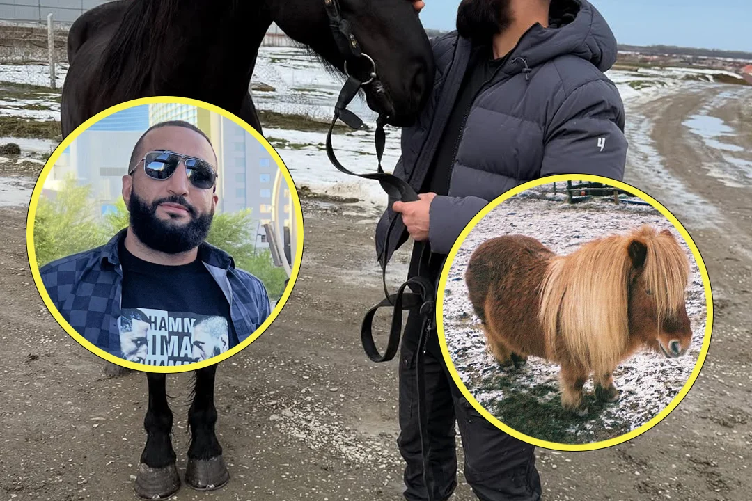 Белал Мухаммад заявил о переходе в средний вес — Чимаев высмеял решение