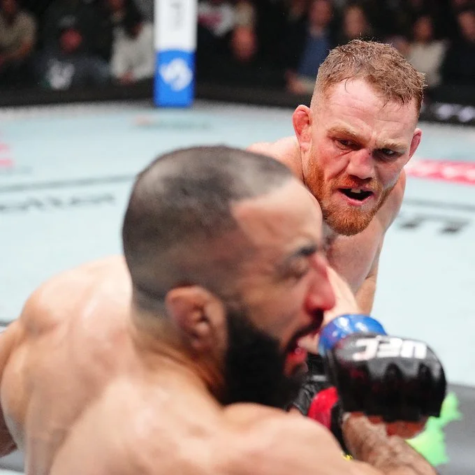 Дана Уайт принял решение по бою Маддалена - Махачев