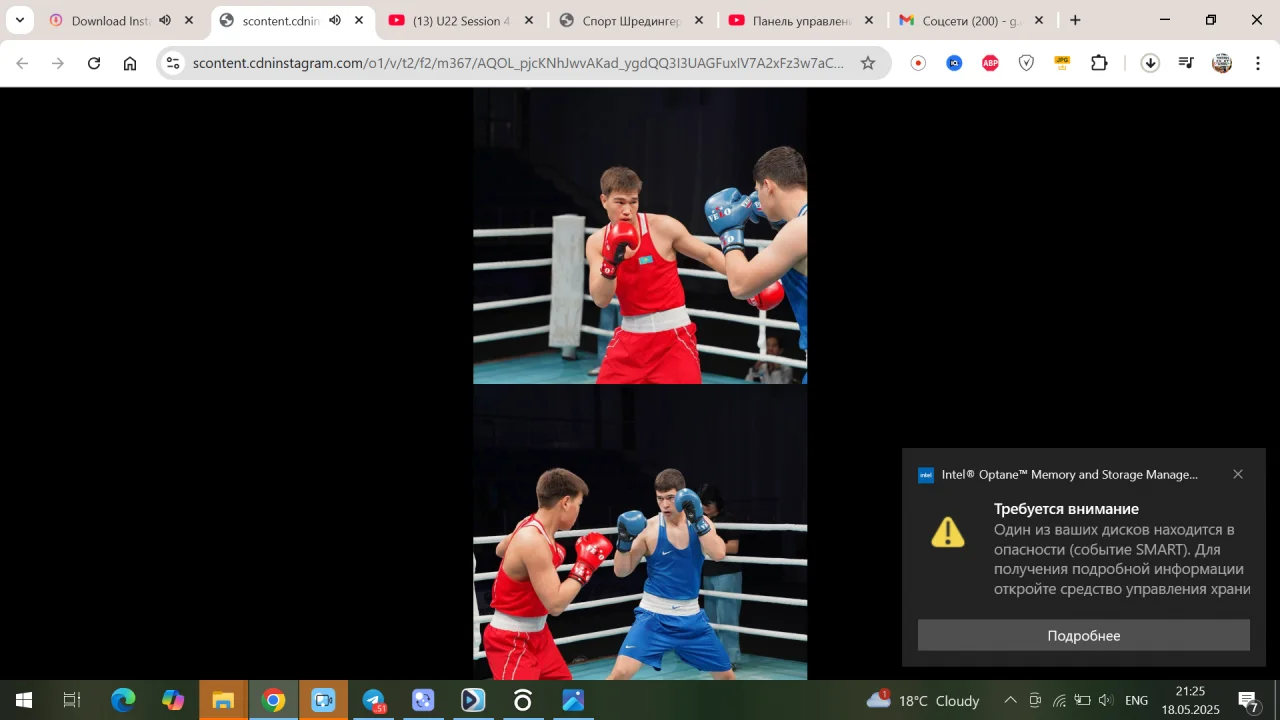 Страшный нокаут от казахстанского боксера: соперника унесли на носилках! Видео 