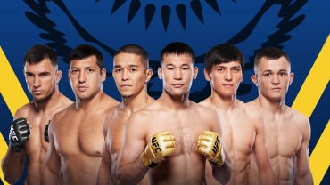 Когда UFC привезет турнир в...