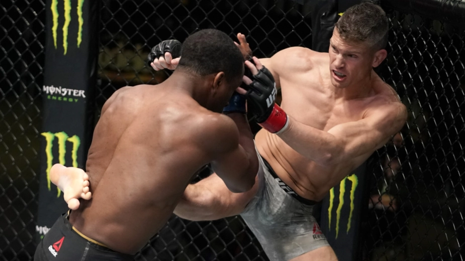 Раздельным решением судей завершился бой Стивена Томпсона в UFC