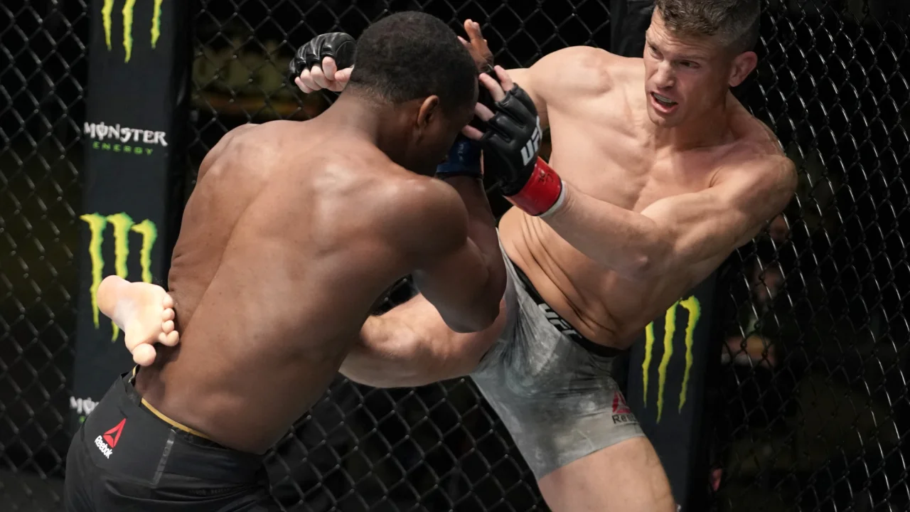 Раздельным решением судей завершился бой Стивена Томпсона в UFC