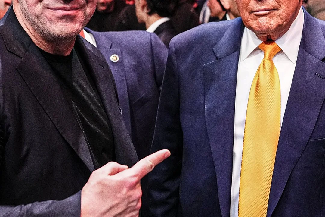 Дочь Трампа занялась подготовкой турнира UFC в Белом доме
