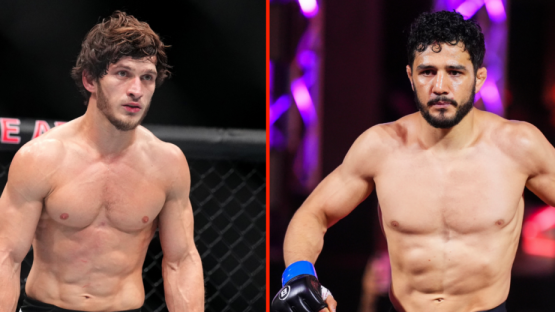 Отменился бой Мовсара Евлоева на UFC в Абу Даби. Что случилось?