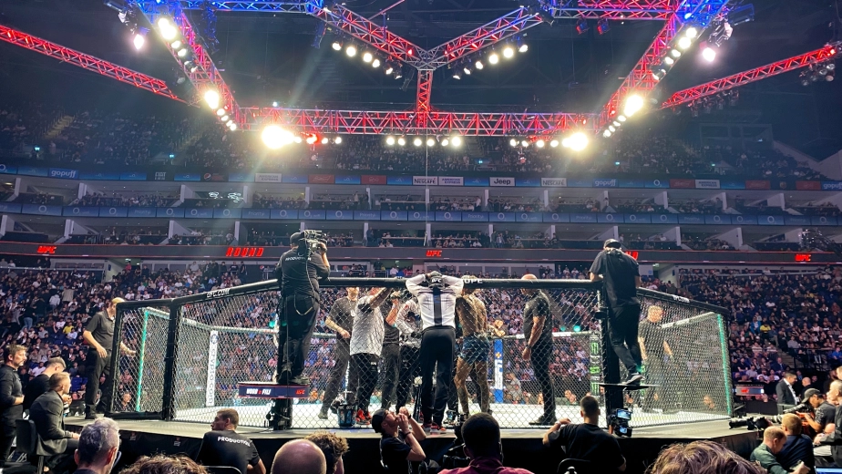 Появилось расписание турниров UFC на 2025 год