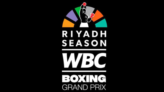 Стала известна судьба последнего казахстанского боксера на Гран-при WBC