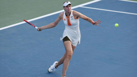 Прямая трансляция матча Елены Рыбакиной в четвертом круге US Open
