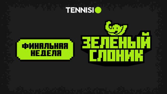 "Зелёный слоник" работает последнюю неделю