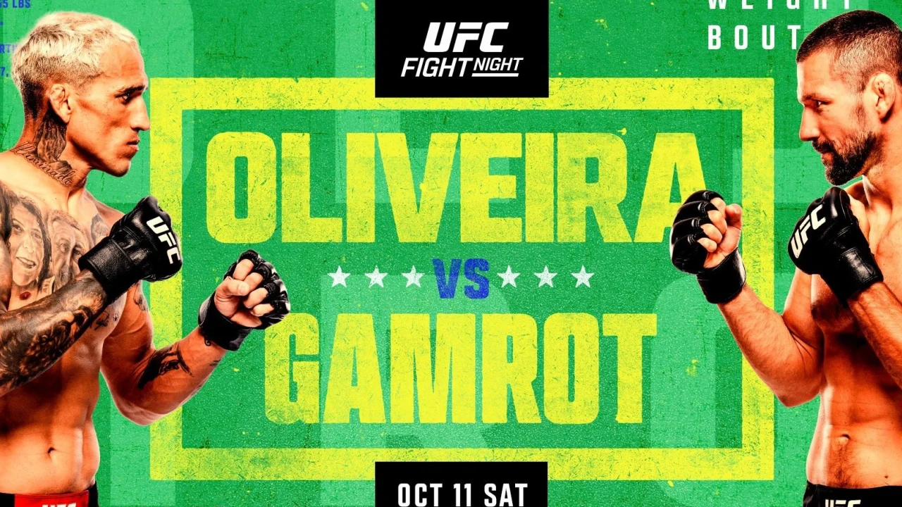 UFC Рио: главные причины не пропустить турнир в Бразилии