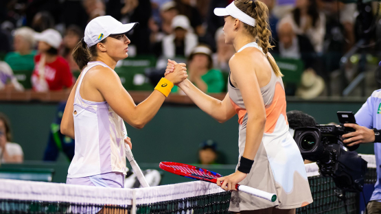 Прямая трансляция матча Елены Рыбакиной против Иги Швентек на WTA Finals