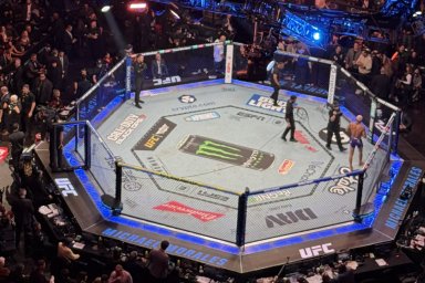 Комментатор UFC раскрыл имена участников турнира в Белом доме